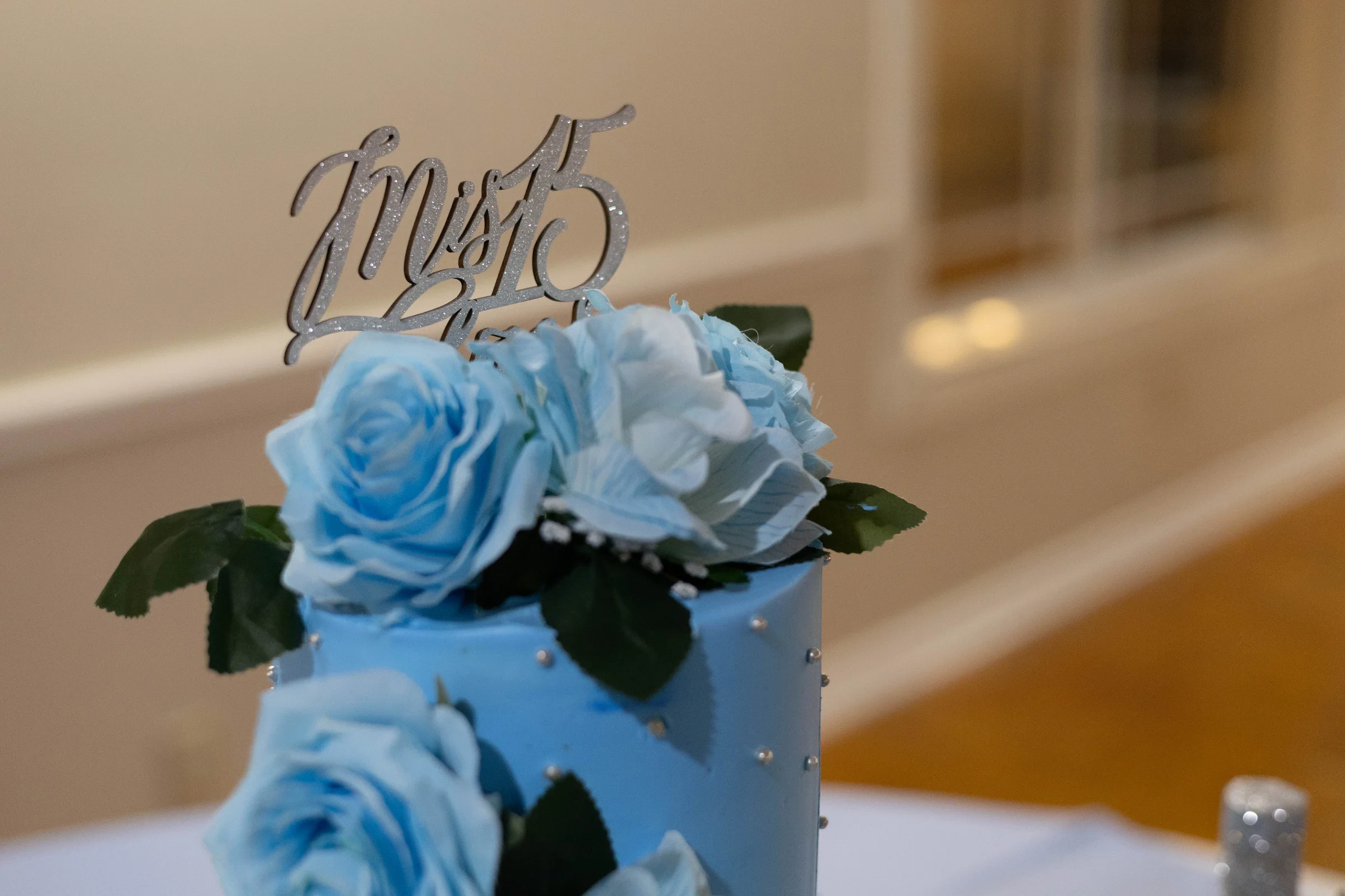 mis 15